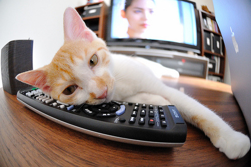 九游登录中心-丹麦队欧洲杯表现出色,赢得球迷赞誉,丹麦队欧洲杯表现出色,赢得球迷赞誉